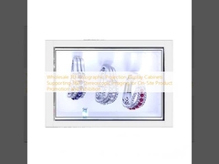 Wholesale 3D Holographic Projection Display Cabinets Supporting 360° Stereoscopic Imaging for On-Site Product Promotion and Exhibition