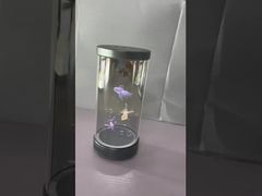 Transparent Holobox